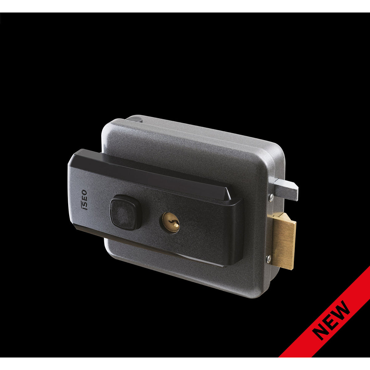 ISEO Serie 5 yala aplicata 12V AC pentru porti si usi metalice